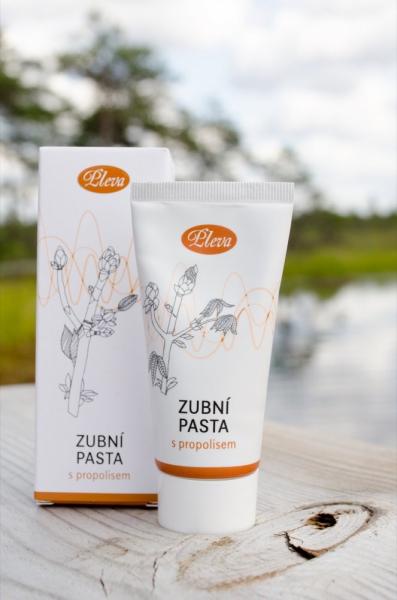 ZUBNÍ PASTA S PROPOLISEM